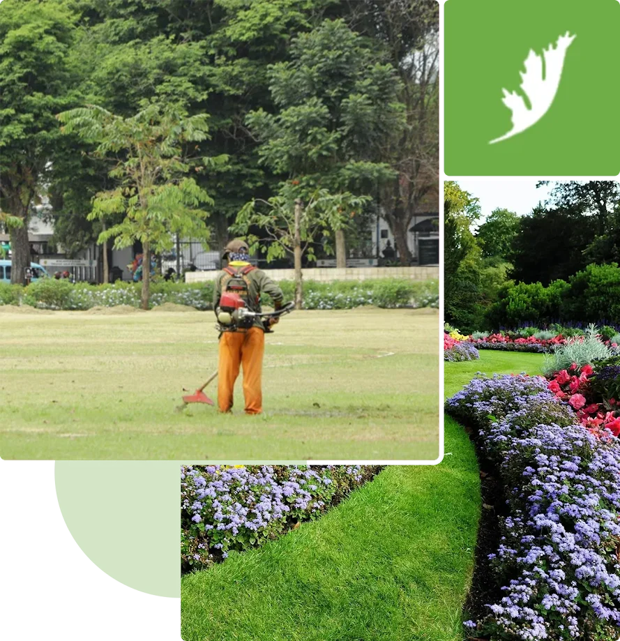 A person with a leaf on their back and a lawn mower in the grass.