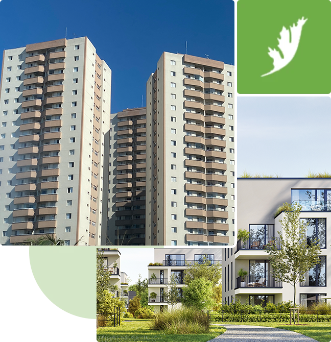 A collage of different buildings with a leaf on them.